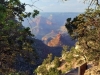grand-canyon1