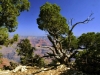 grand-canyon13