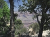 grand-canyon17