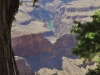 grand-canyon19