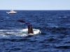 whale-watch10